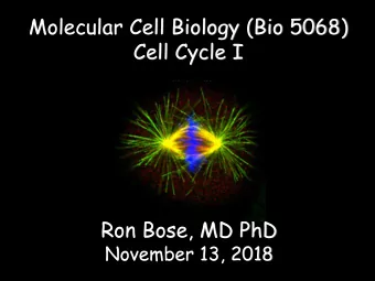 Cell Cycle I  Ron Bose, MD PhD  November 13, 2018  CELL DIVISION CYCLE  M  G2  G1  S  DISCOVERY AND