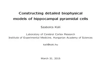 Constructing detailed biophysical  models of hippocampal pyramidal cells  Szabolcs K  ali