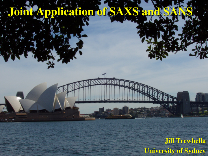 joint application of saxs and sans