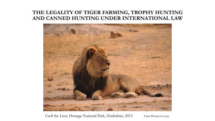 the legality of tiger farming trophy hunting and canned