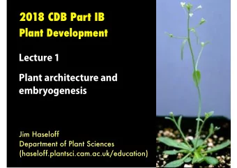 Plant Development Lecture 1: Plant architecture and embryogenesis.  Lecture 2: Polarity and