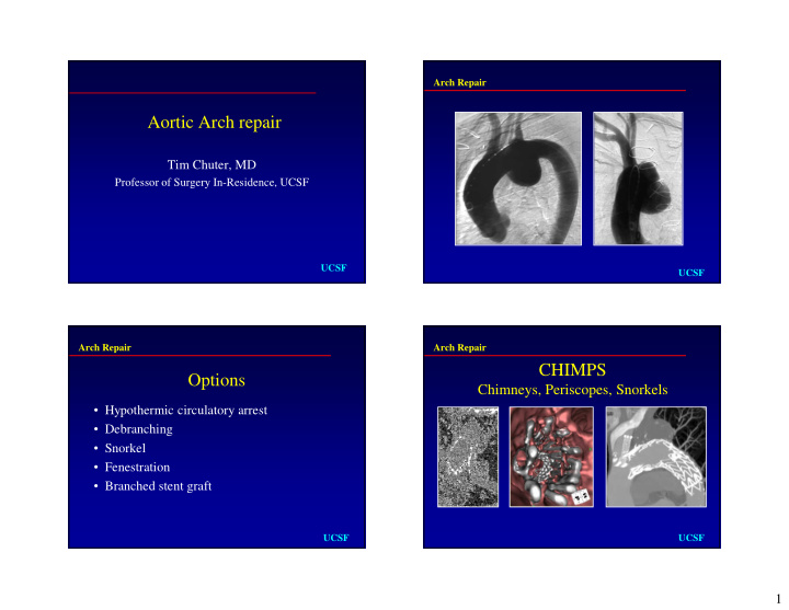 aortic arch repair