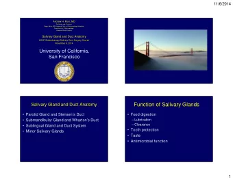Function of Salivary Glands  Salivary Gland and Duct Anatomy   Parotid Gland and Stensens