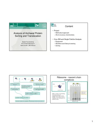 Content   Project  Analysis of Archaeal Protein   Methodical approach   Short excursus: