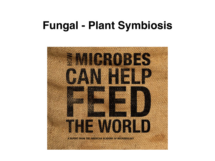 fungal plant symbiosis