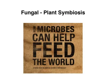Fungal - Plant Symbiosis  A REPORT FROM THE AMERICAN ACADEMY OF MICROBIOLOGY  Pius Florus is using
