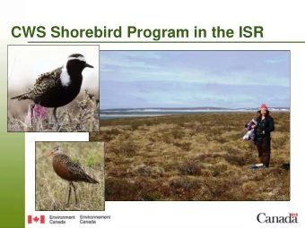 CWS Shorebird Program in the ISR  What is a shorebird?  Long pointed wings  Long legs and