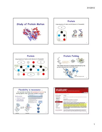 N  C C  C   protein sequence but is not fully rigid C  C   peptide C  C   bond