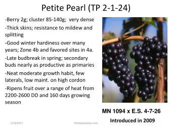 Petite Pearl (TP 2-1-24)  -Berry 2g; cluster 85-140g;  very dense  -Thick skins; resistance to