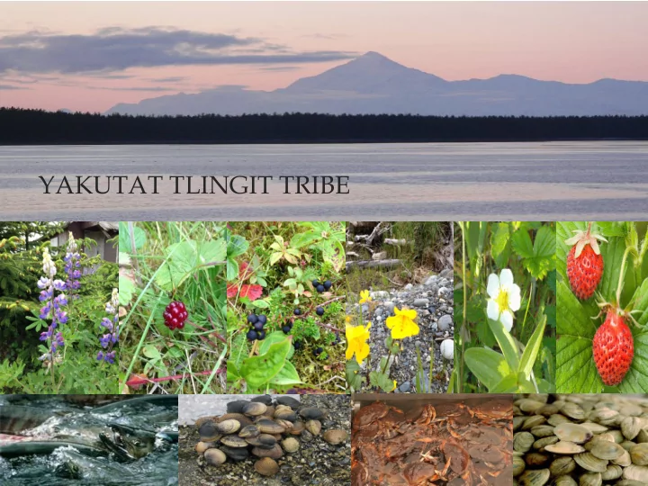 yakutat tlingit tribe ankau saltchucks