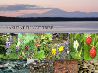 YAKUTAT TLINGIT TRIBE  ANKAU SALTCHUCKS OUR BEACHES WERE OUR GARDENANKAU ALWAYS HAD THE BEST