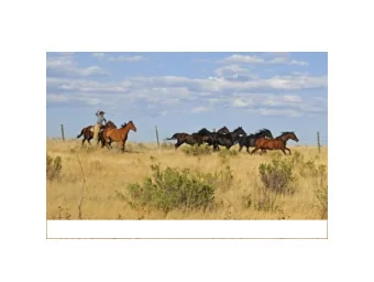 with Increased  Clinician Responsiveness  and Improved Outcomes  Steven H. Shaha, PhD, DBA  Prof,