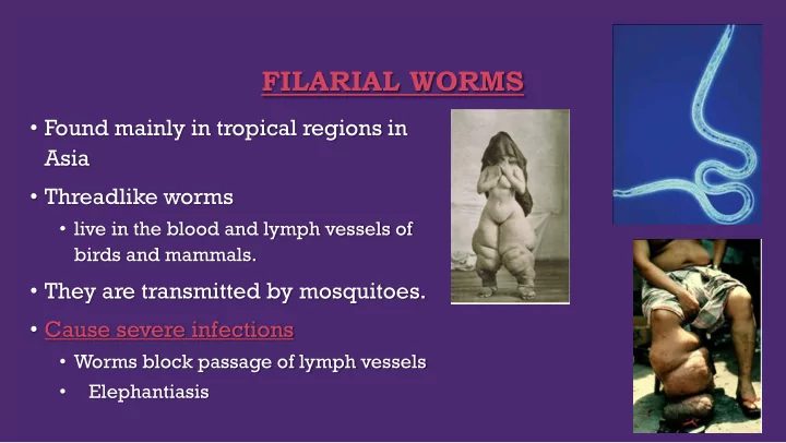 filarial worms