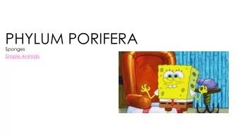 PHYLUM PORIFERA  Sponges  Simple Animals  SPONGES  Simplest and most  unusual animals  Most