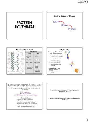 PROTEIN  SYNTHESIS RNA (ribonucleic acid)  3 types RNA  DIFFERENCES 1.  messenger RNA (mRNA)  DNA