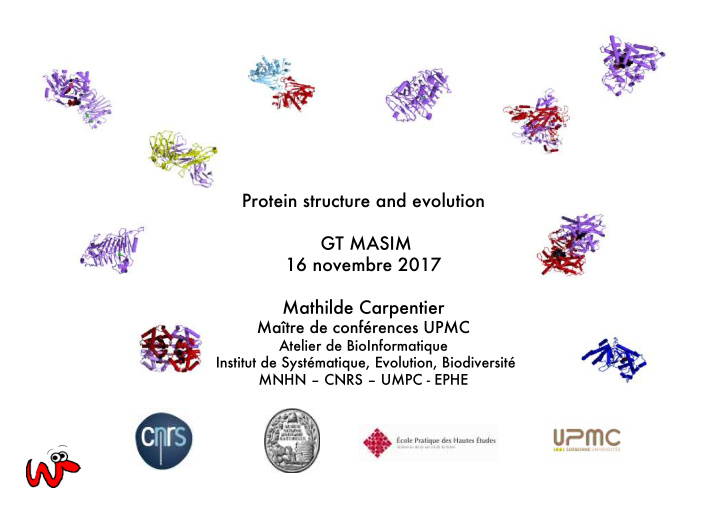 protein structure and evolution gt masim 16 novembre 2017