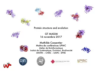 Protein structure and evolution  GT MASIM  16 novembre 2017  Mathilde Carpentier  Matre de