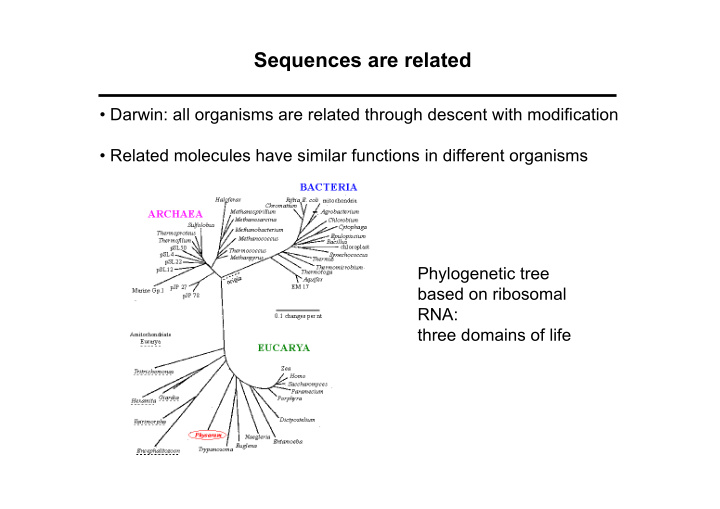 sequences are related
