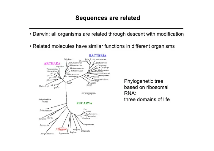sequences are related