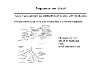 Sequences are related   Darwin: all organisms are related through descent with modification