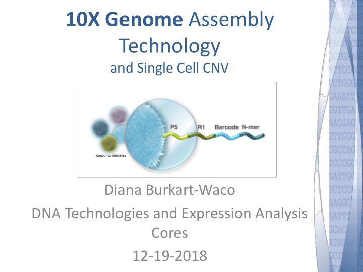 10x genome assembly technology