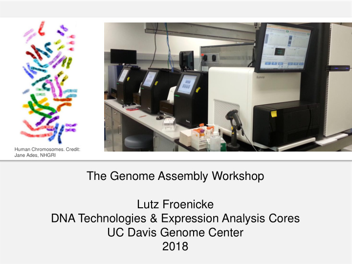 the genome assembly workshop