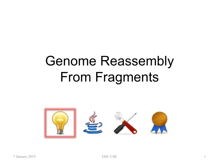 genome reassembly from fragments