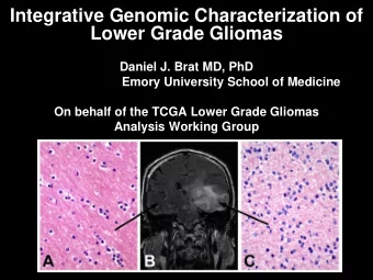 Integrative Genomic Characterization of  Lower Grade Gliomas  Daniel J. Brat MD, PhD  Emory