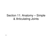 section 11 anatomy simple articulating joints