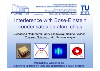 Interference with Bose-Einstein  condensates on atom chips  Sebastian Hofferberth, Igor Lesanovsky,