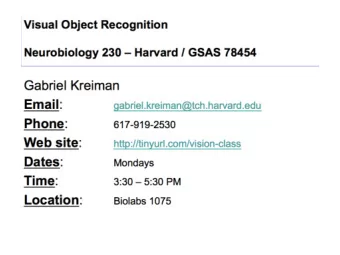 Visual system  Anatomy D  aja et al., Front. Neuroanat. , 2014  The six layers of the