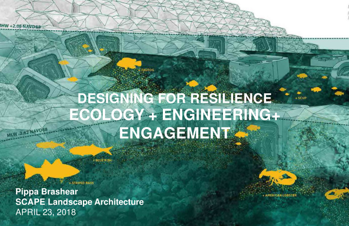 ecology engineering engagement