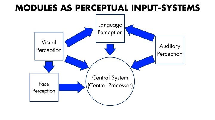 modules as perceptual input systems