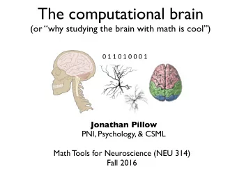 What is computational neuroscience?  1.  Use of mathematical/computational tools to  study the