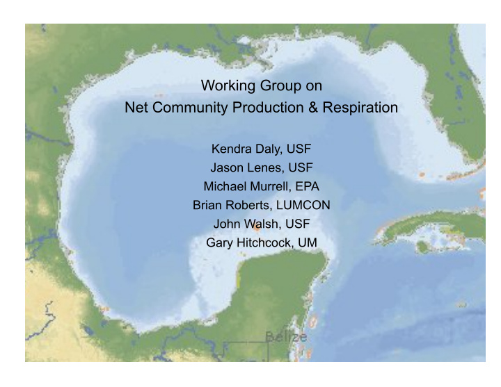 working group on net community production respiration