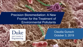 Precision Bioremediation: A New  Frontier for the Treatment of  Environmental Pollutants  Claudia