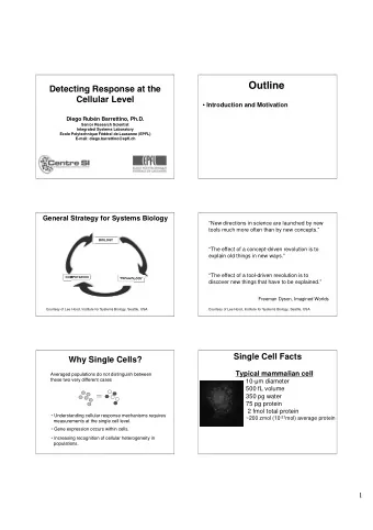 Outline  Detecting Response at the  Cellular Level  Introduction and Motivation  Diego Rubn