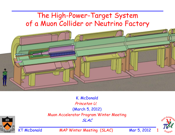 the high power target system of a muon collider or