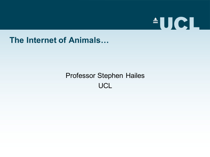 the internet of animals