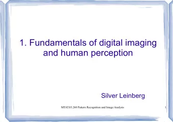 1. Fundamentals of digital imaging  and human perception  Silver Leinberg  MTAT.03.260 Pattern