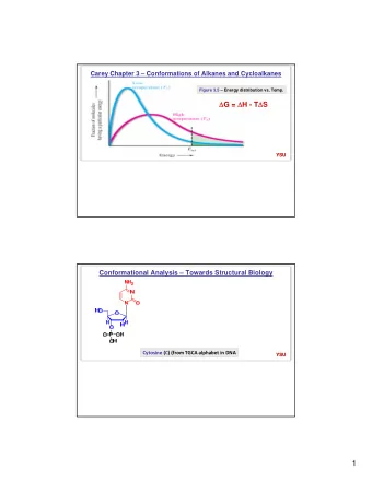 1  Conformational Analysis  Towards Structural Biology   Chem3D Embed  Cytosine (C) (from