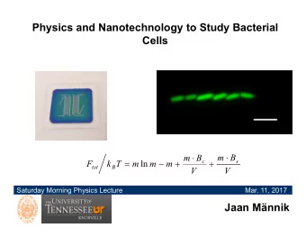 Physics and Nanotechnology to Study Bacterial  Cells      m  B  m  B          s