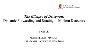 The Glimpse of Detectron :  Dynamic Forwarding and Routing in Modern Detectors  Ziwei Liu