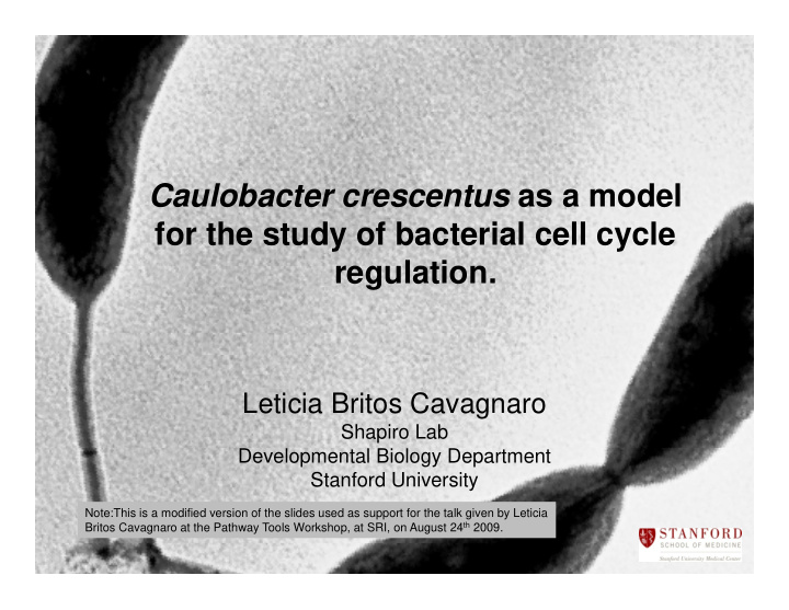 c caulobacter crescentus as a model l b t t d l for the