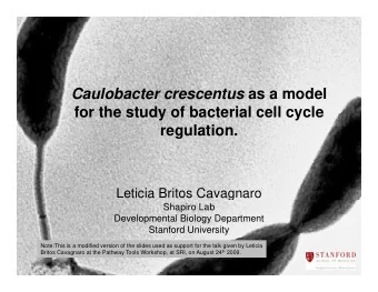 C Caulobacter crescentus as a model  l b  t  t  d l  for the study of bacterial cell cycle
