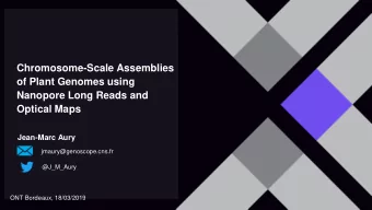 Chromosome-Scale Assemblies  of Plant Genomes using  Nanopore Long Reads and  Optical Maps