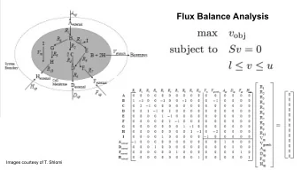 Flux Balance Analysis  1  Images courtesy of T. Shlomi  Solutions must obey stoichiometric (mass