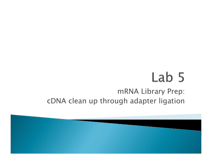 mrna library prep cdna clean up through adapter ligation