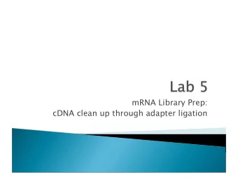 mRNA Library Prep:  cDNA clean up through adapter ligation  Deoxynucleotide Mix  T4 DNA
