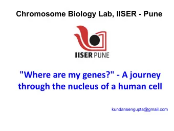 &quot;Where are my genes?&quot; - A journey  through the nucleus of a human cell